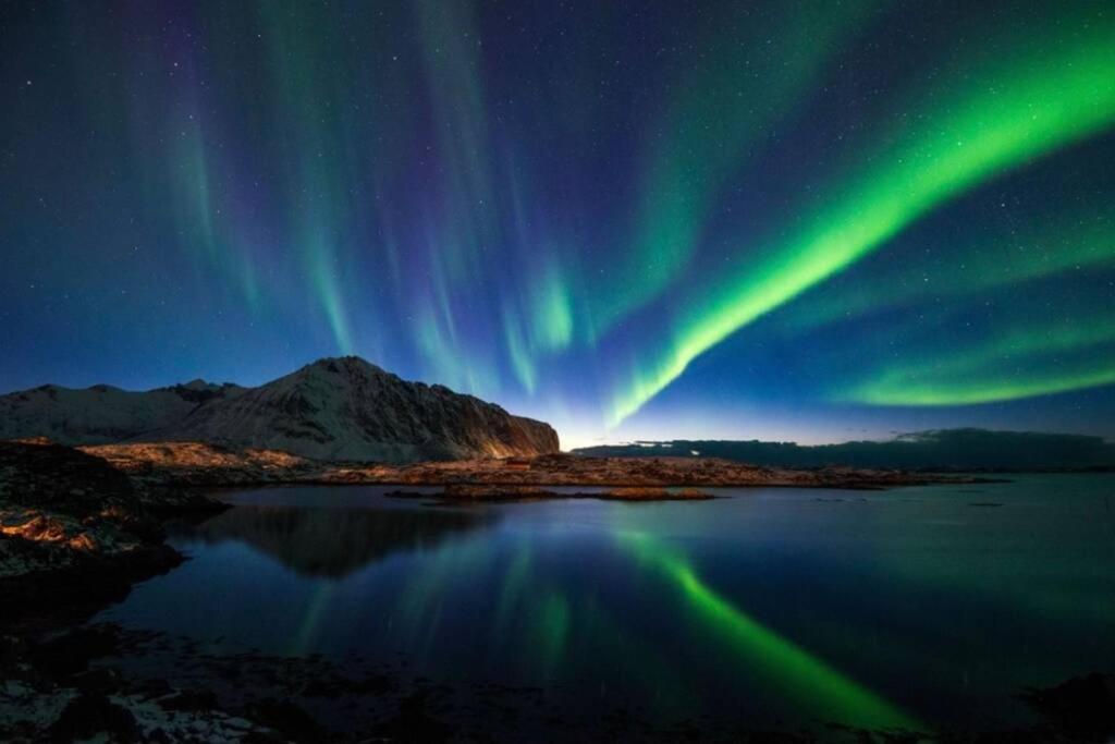 Villa Borgvag - A Unique Seafront Villa In The Heart Of Lofoten Bostad Exterior photo