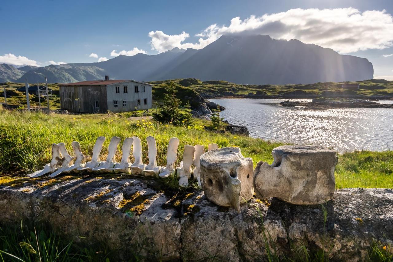 Villa Borgvag - A Unique Seafront Villa In The Heart Of Lofoten Bostad Exterior photo