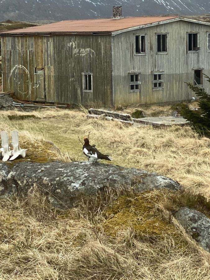 Villa Borgvag - A Unique Seafront Villa In The Heart Of Lofoten Bostad Exterior photo